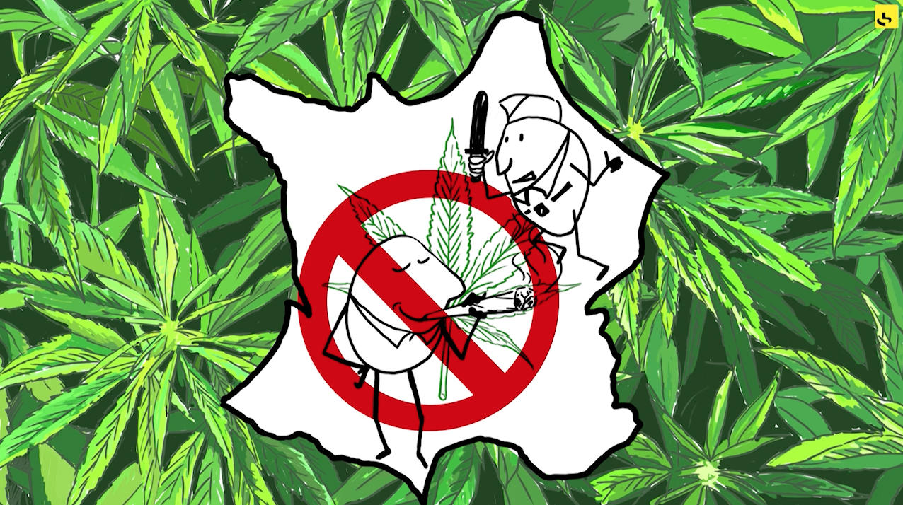 Expliquez-nous... La consommation de cannabis en France, création d'une animation hebdomadaire pour le web site du programme "Expliquez-nous" de France info